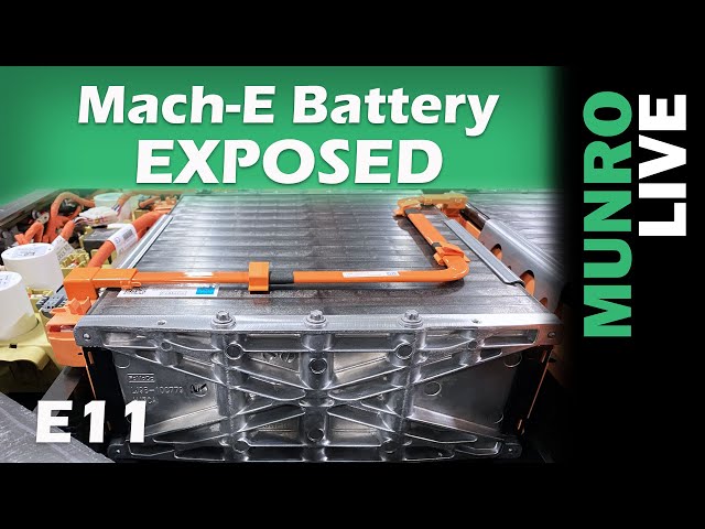 Ford Mustang Mach-E Battery Exposed!