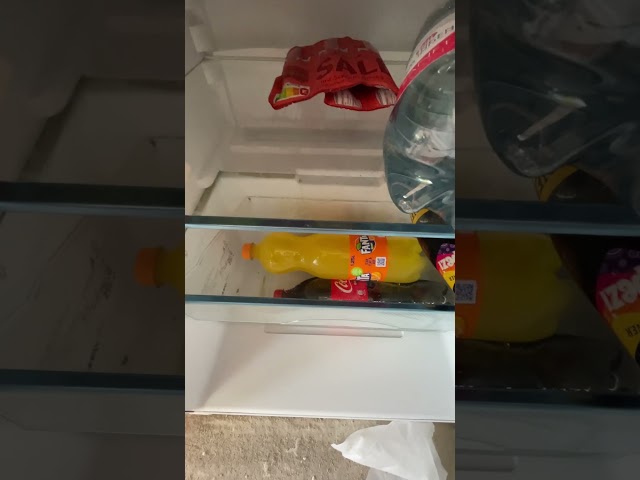 Handwerker Kühlschrank komplett versifft...