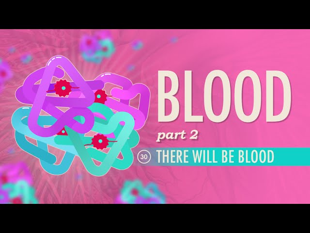 Blood, Part 2 - There Will Be Blood: Crash Course Anatomy & Physiology #30