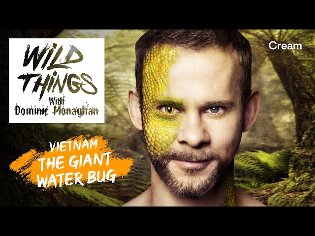 The Giant Water Bug | Wild Things with Dominic Monaghan (Season 1 Episode 6) | FULL EPISODE