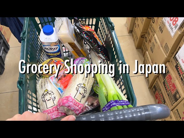 Housewife Shopping Trips in Japan 🛒 Compilation of Early November Shopping 🎵