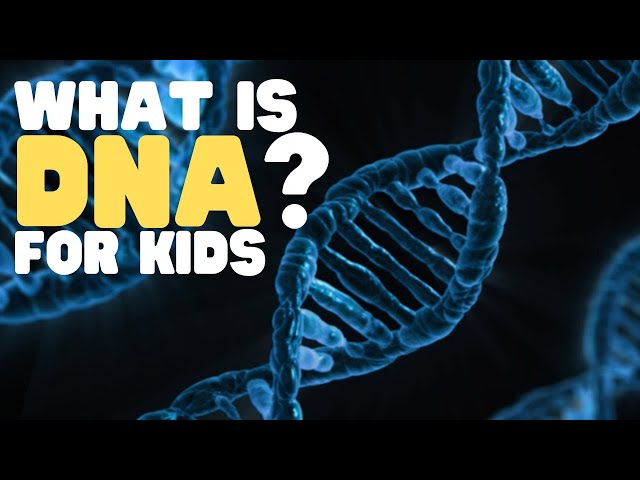What Is DNA for Kids | An easy overview of DNA for children | Awesome DNA Facts