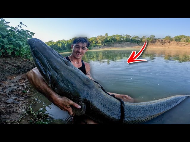 The biggest fish you have ever seen... INSANE