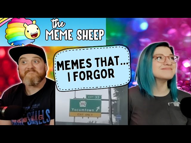 "memes that... i forgor 💀" @TheMemeSheep1 | HatGuy & Nikki react