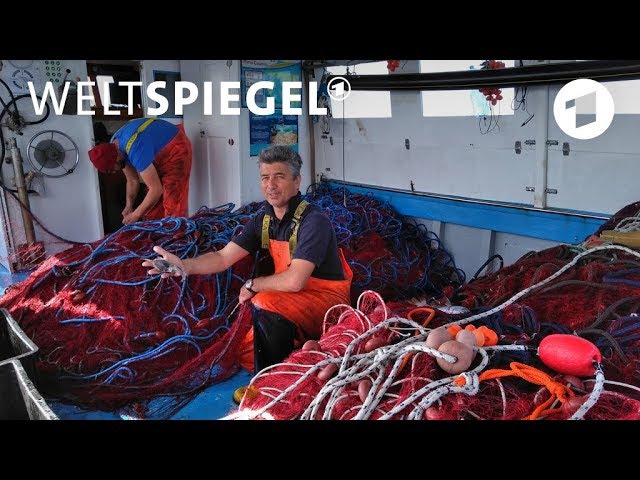 Plastikmüll im Meer: Die Plastikfischer von Apulien | Weltspiegel