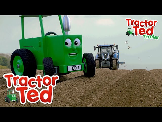 Spuds in Mud 🥔 | New Tractor Ted Trailer | Tractor Ted Official Channel