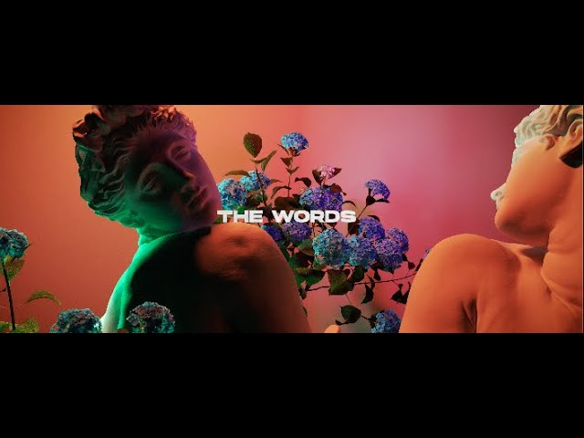 Alesso - Words (Feat. Zara Larsson) [Official Lyric Video]