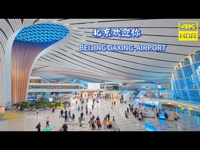 The "Golden Phoenix" spreads its wings and flies high,  Beijing Daxing International Airport. 4K HDR