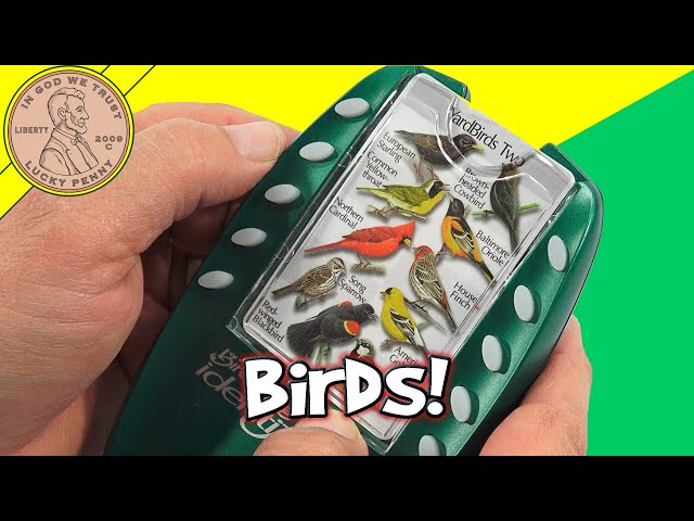 How To Use The Birdsong Identiflyer Handheld Electronic Bird Sounds - Learn Bird Songs