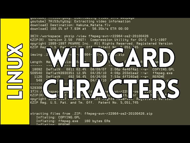 Wildcard Characters - Introduction to Linux for Absolute Beginners (2016)