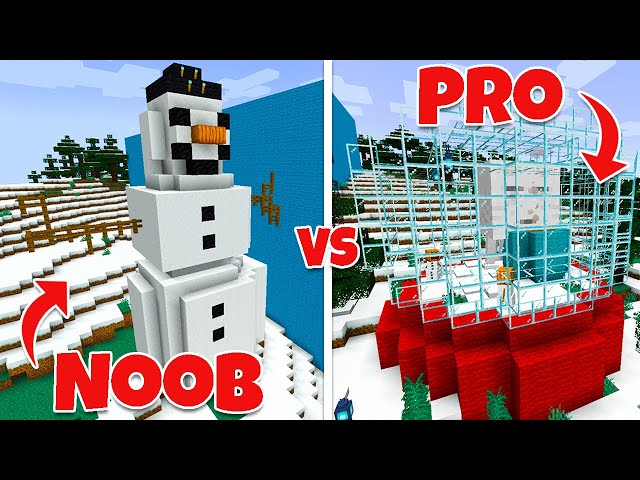 APHMAU CREW builds a NOOB vs PRO Winter Wonderland