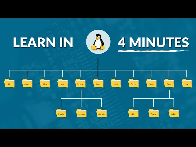 The Linux File System in 4  Minutes | A MUST Learn