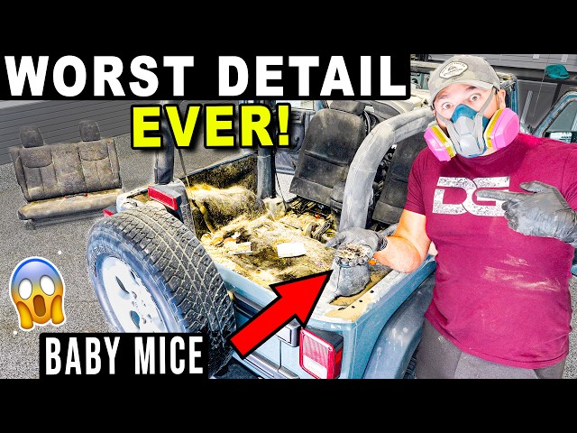 I Spent 18 Hours Cleaning The DIRTIEST Jeep Ever!