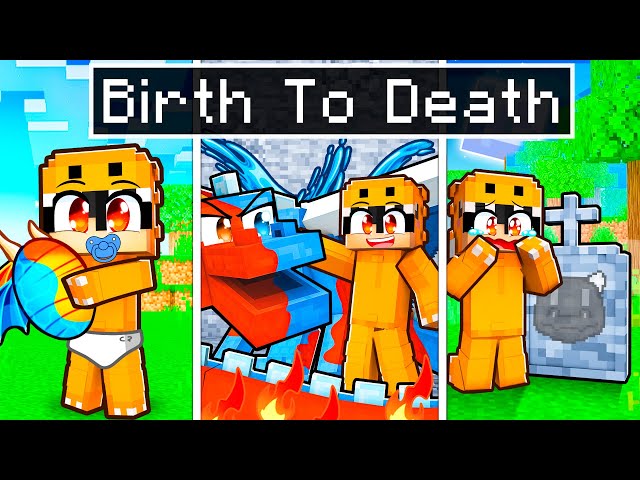 BIRTH TO DEATH of an ELEMENTAL DRAGON in Minecraft!