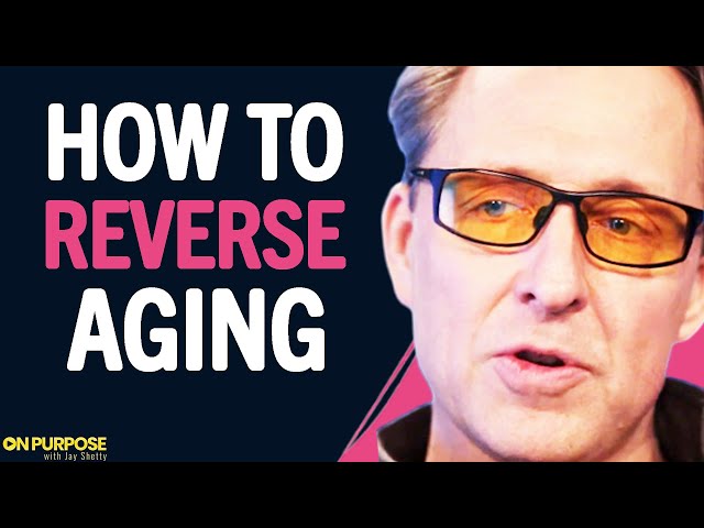 Use These DAILY HACKS To Reverse Aging & Live Over 120+ YEARS OLD! | Dave Asprey