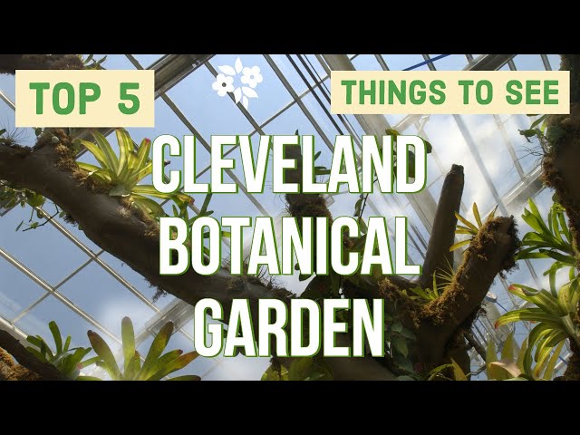 Cleveland Botanical Garden - 5 best things to see here