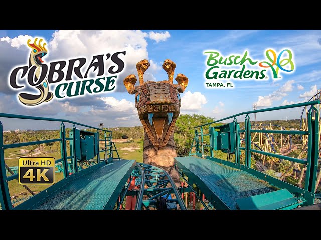 2020 Cobra's Curse Roller Coaster On Ride Front Row Ultra HD 4K POV Busch Gardens Tampa