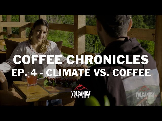 Climate Change vs. Coffee: The Shocking Truth