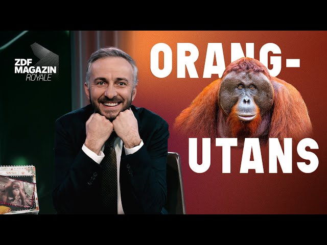 Kaum zu glauben, was diesem Orang-Utan passieren wird | ZDF Magazin Royale