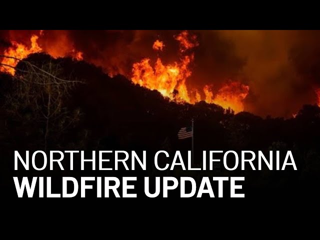 LIVE: Updates on California Wildfires, Evacuations [8/25 11P]