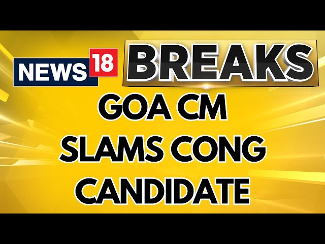 "Constitution Was Forced On Us": Goa Congress Leader's Remark Sparks Row | Lok Sabha Elections 2024