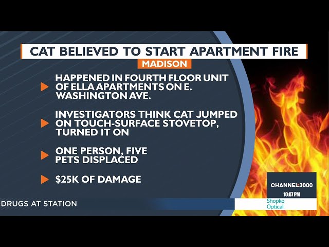 Cat may have caused Madison apartment fire that displaced person, 5 pets