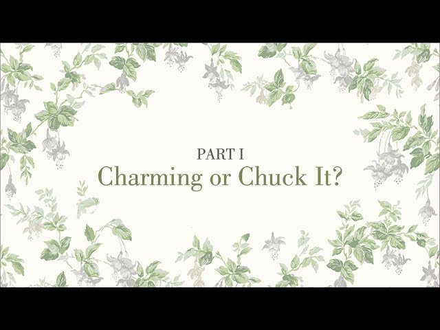 Get to Know the Authors of Charm School Part 1