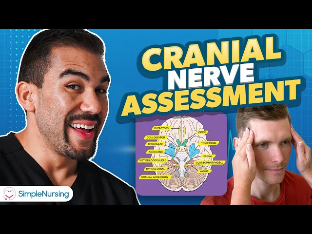 Cranial Nerve Assessment for Nurses | Neurological Health Assessment