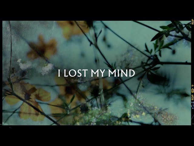Metronomy - I lost my mind (Lyric Video)