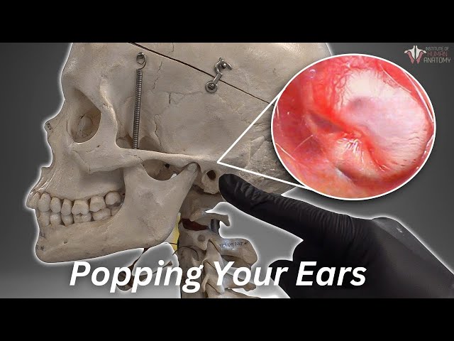 What Happens When We Pop Our Ears