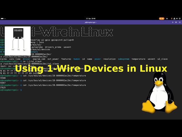 Using 1-Wire in Linux
