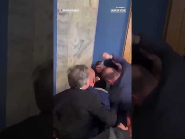 Georgian lawmakers came to blows in parliament