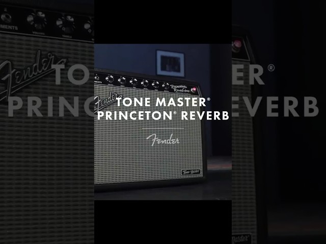 THIS IS The Princeton Tone Master!!!   #guitar #Fender