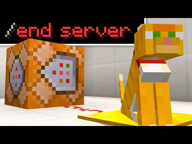 If This Cat Dies, the Server Ends