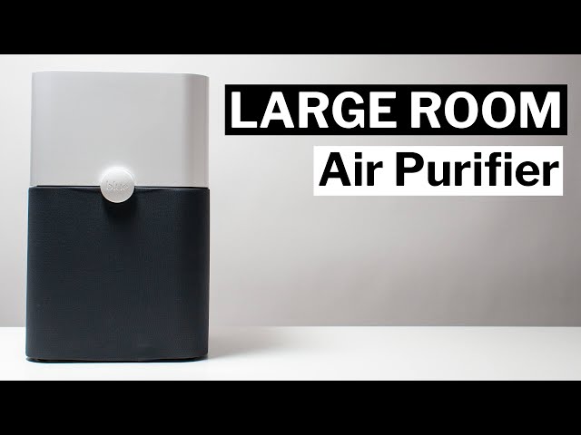 The Best Large Room Air Purifier (the best large air purifier)