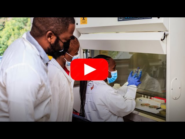 Accelerating Measles and Rubella Testing in 120 Countries   (60 sec)