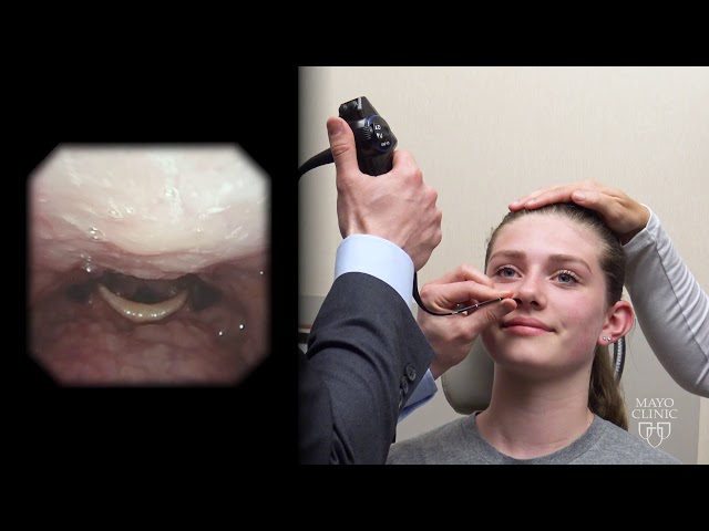 FEES Swallowing Study: Fiberoptic Endoscopic Evaluation of a Swallowing