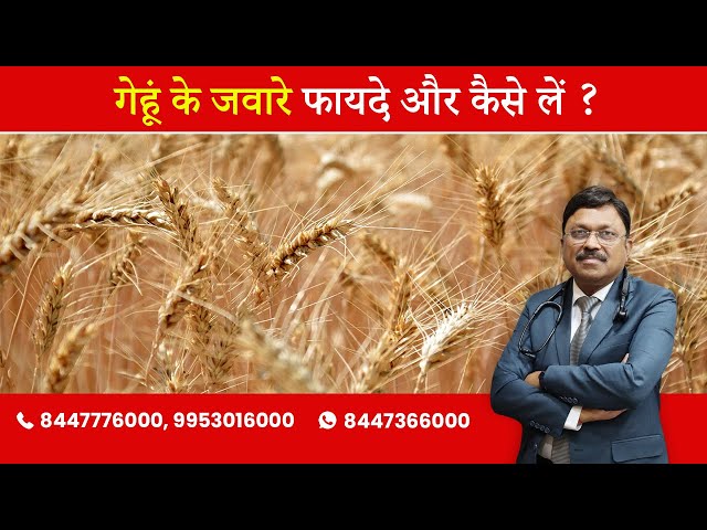 Wheatgrass : Benefits & How to consume it? | By Dr. Bimal Chhajer | Saaol
