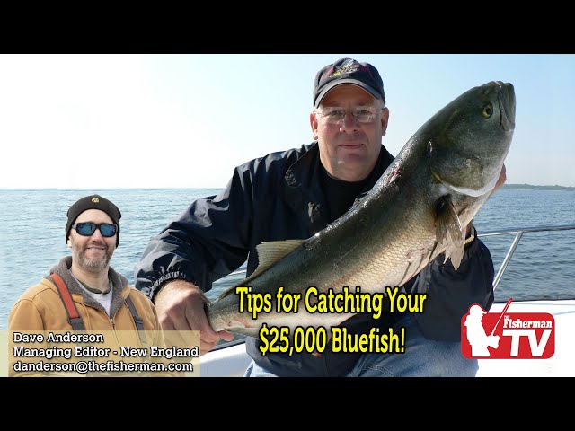 August 24th, 2023,  New England Video Fishing Forecast with Dave Anderson
