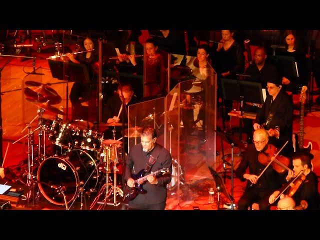 The Music of Pink Floyd The Wall DSO Detroit 2024