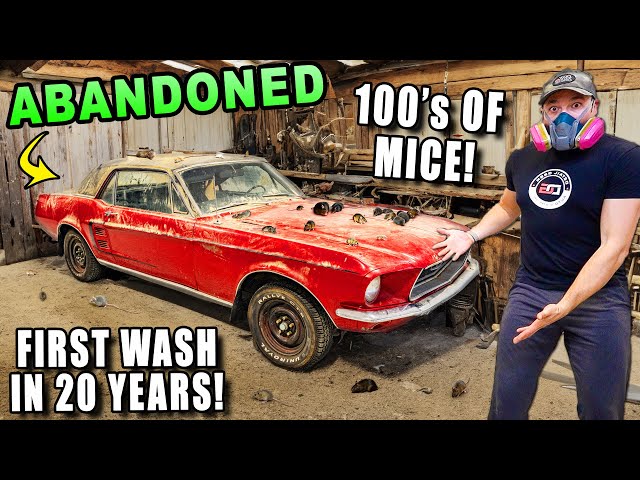 I Found The DIRTIEST Ford Mustang Sitting in a Barn....Can it be Cleaned??