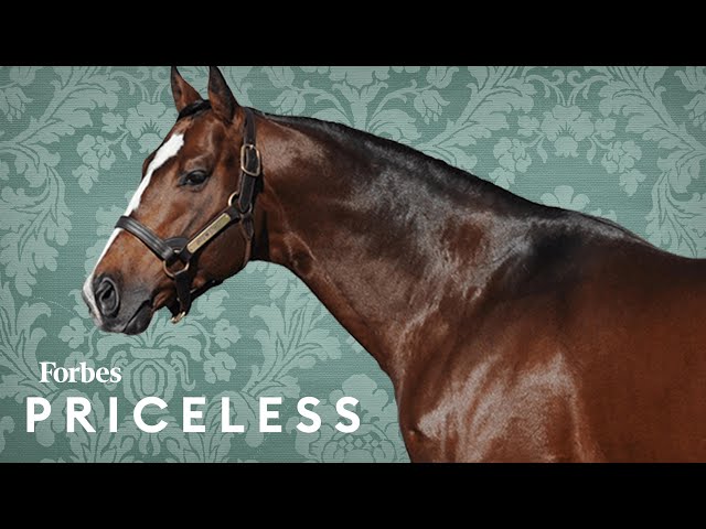 Why This Billionaire-Owned Thoroughbred Horse Farm Is Worth $400 Million | Forbes Priceless