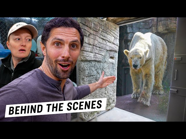 Day in the Life at the World’s Best Zoo