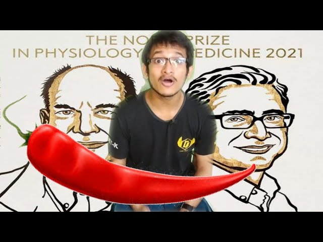 Chili Pepper and Nobel Prize in Physiology 2021 | Hindi |