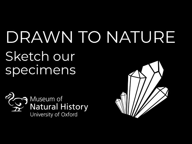 Drawn to Nature: Minerals