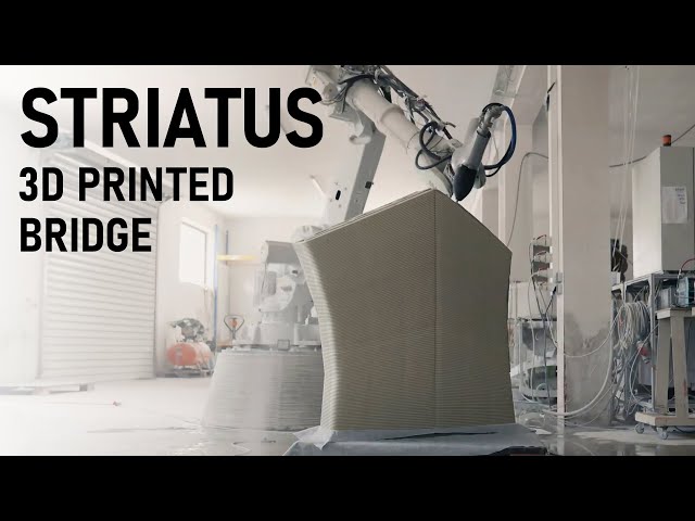 3D printed bridge with NO connections! | Striatus