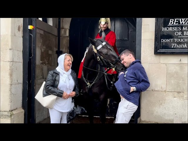 SHOCKING,SUPER NIPPY horse destroyed all IDIOT tourists at the horse GUARDS