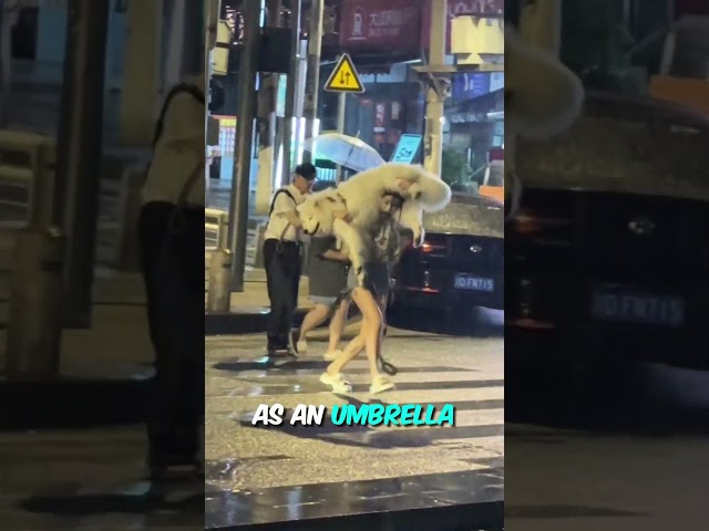 Woman Uses Her Dog As An Umbrella 🐶☂️ #dog