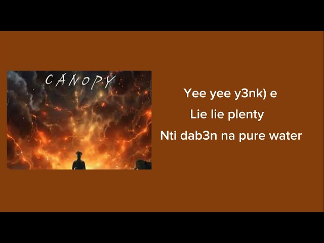 Kuami Eugene - Canopy (Lyrics)