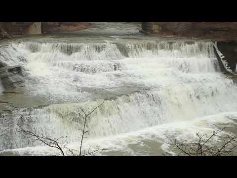 Nature Sounds from Northeast Ohio Parks